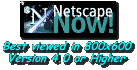 [Netscape Now!]